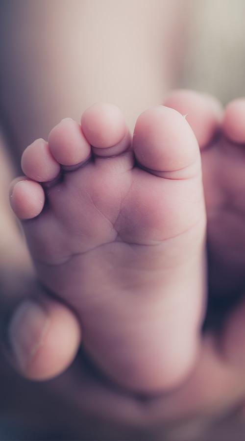 petit-pied